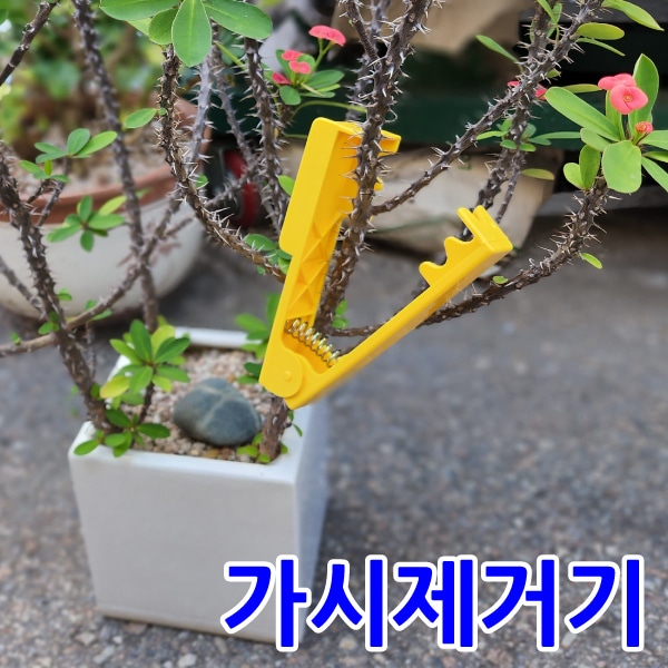 장미가시제거기 /집게형 사용 간편/식물줄기 정리기