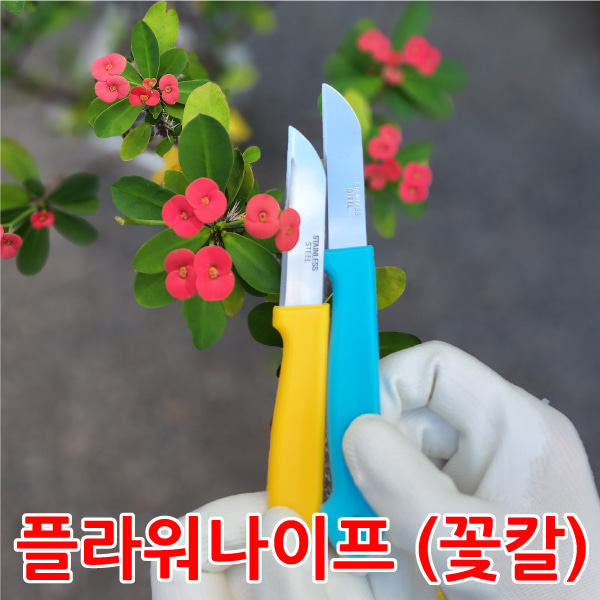 꽃칼 2개입/생화커팅/화훼장식용 플로리스트 꽃칼